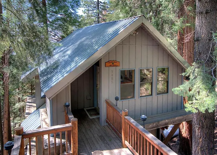 Tree House Lodge