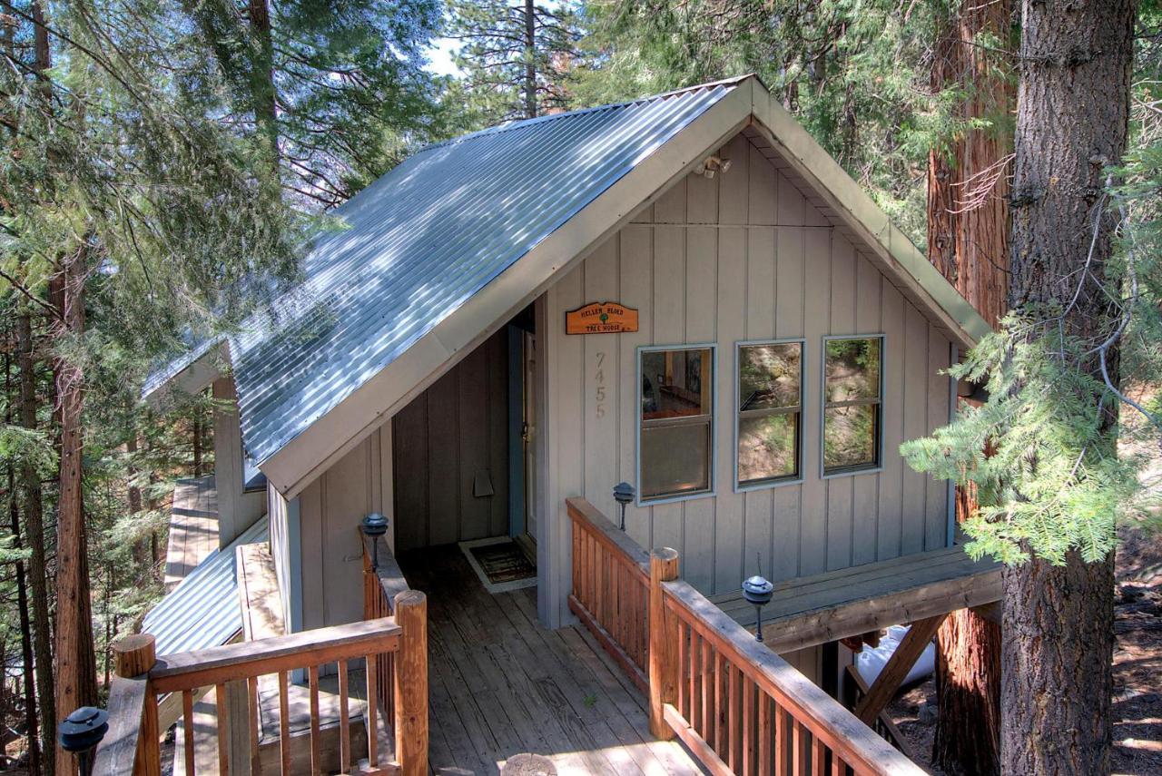Tree House Holiday home *