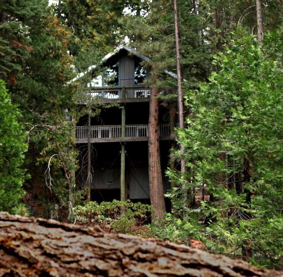 Tree House * Yosemite West